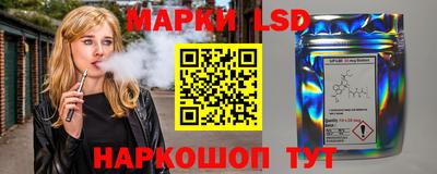 МДПВ Новозыбков