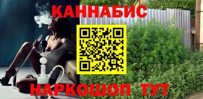 МДПВ Новозыбков