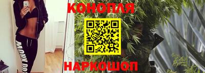 МДПВ Новозыбков