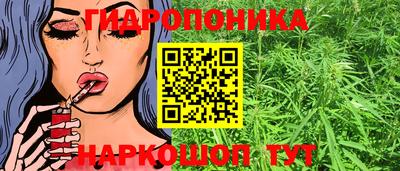 твердый Новодвинск