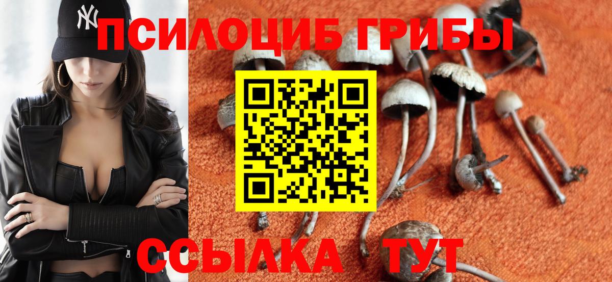 Псилоцибиновые грибы прущие грибы  Вход с VPN  Ахтубинск 